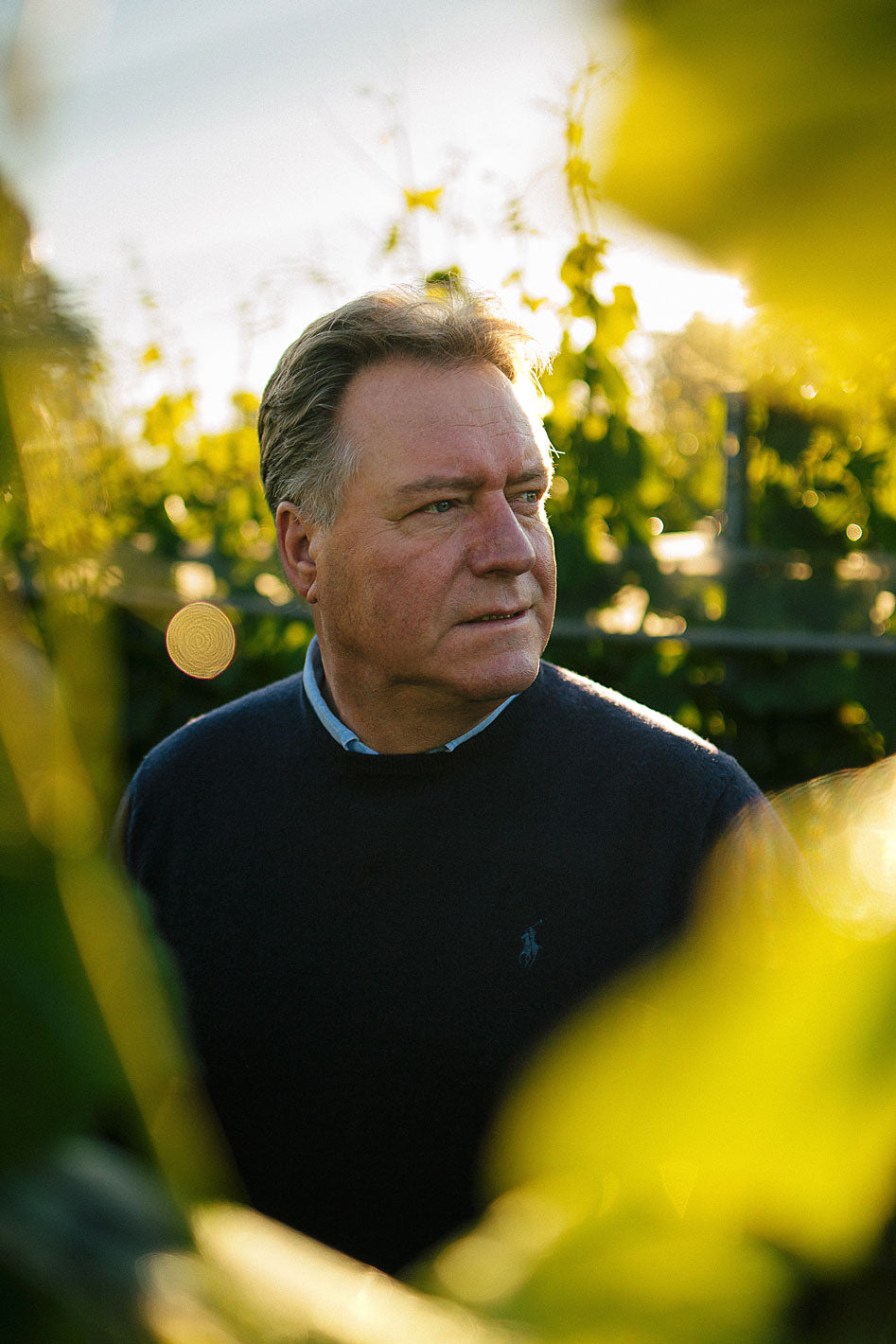 Weingut Osterloh osterlohweine